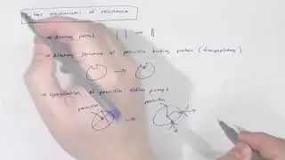 Penicillins