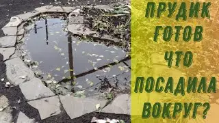 ПРУДИК ГОТОВ. ЧТО ПОСАДИЛА ВОКРУГ? НОВЫЕ РАСТЕНИЯ ДЛЯ САДА.