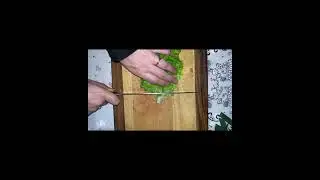 Вкуснейший чиляв с свежим салатом 🌹