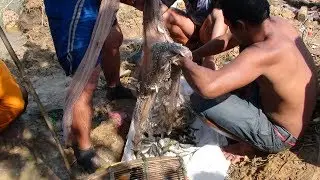 The Best Net Fishing | Amazing!! Just One Time of Net Fishing Got 15 kg
