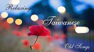 Relaxing Taiwanese Old Songs/ 百聽不膩【精選懷舊老歌】每一首都好聽 值得分享👍心情 累了煩了就聽聽 醉人醉心- Relaxing Musics