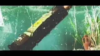 Stop motion per Australian Gold