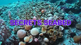 The SHOCKING Truth About the Seabed's Origins You Never Knew