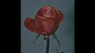 EvilJoke - ugly021