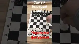 #шахматы