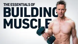 The Essentials to Building Muscle