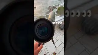 Гордей подглядывает за парочками