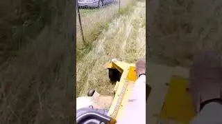 How Tall of Grass can you Mow?