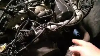 Стелс росомаха с 800