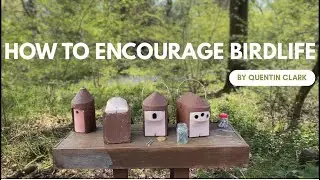 Encouraging Birdlife into your Woodland
