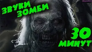 ЗВУК ЗОМБИ !!! 30 минут улетного веселья !!! СТРАШНЫЕ ЗВУКИ !!!