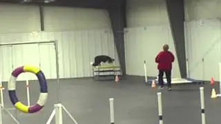 Rugby running knees