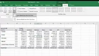 Pivot Table   Blank Rows after each Item