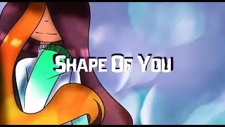 Shape Of You // meme