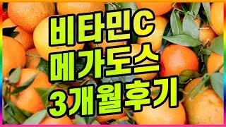 [영양]비타민C 메가도스 3개월 후기