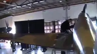 Spitfire and Spitfire Walk Show