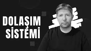 Dolaşım Sistemi, Tek video 100 dakika 
