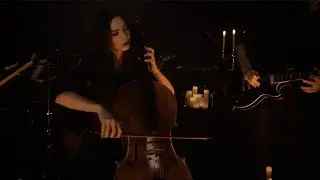 TRIBUNAL - Without Answer (Official Video) 20 Buck Spin