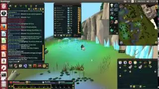 Runescape NXT ubuntu screen flickering-epilepsy warning