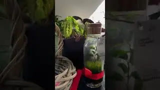 Сколько стоит аренда в топ-студии?