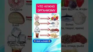 ЧТО НУЖНО ОРГАНИЗМУ #ппрецепты #зож