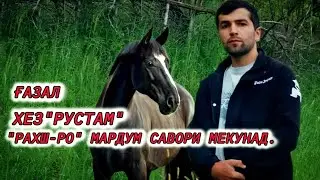 Хез 