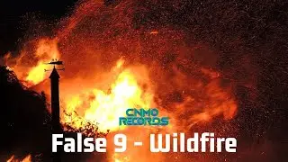False 9 - Wildfire