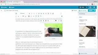 Editing Posts