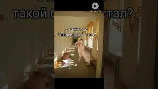 гопник ч 2 . видео моё, идея моя, футажи не мои 