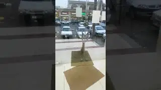 cute cat homeless in the rainy day #shorts