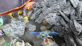 Warhammer 40k Stop Motion Battle Season 6 Battle 18 Royal Rumble Review