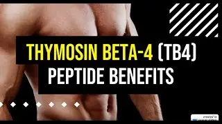 Thymosin beta 4 TB4 peptide benefits