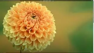 Изменения и переход к новому этапу