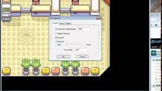 How to use hamachi and vba link