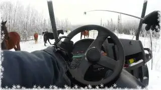 Yukon Ranch Life