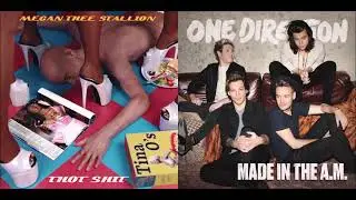 Thot Shit / Infinity — Megan Thee Stallion and One Direction (Mashup!)