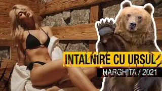 Ne-am intalnit cu URSUL!? 🐻 Aventuri in HARGHITA