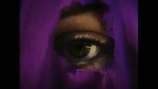 Lyre - SAISONS (Clip Officiel)
