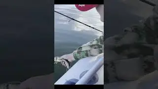 Как поступает настоящий рыбак 