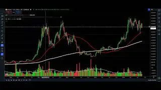 BITCOIN: What I Believe May Happen Over The Next 4 Months..