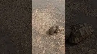 Gördün mü başımıza gelenleri :D ksksksks