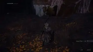 Crucible Knight Siluria no damage Elden Ring