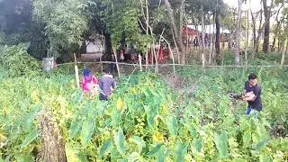 বিয়ে যে কত মজা গো