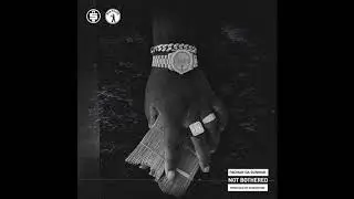 Pacman Da Gunman - Not Bothered (Official Audio)