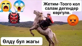 Жетим Тоого кол салабыз деген акмактар коргуло. Силерди Кудай урат☝️🔥.