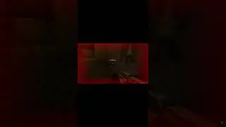 Quake II- kuked by a door