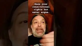 Constitutional rights and traffic stops.