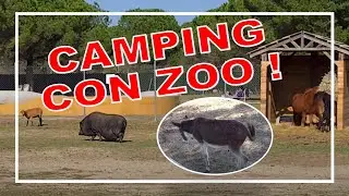 Camping Le Floride  ⭐⭐⭐⭐⭐  Novedades 2024 Port Barcarés Francia