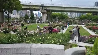 NOW at Nakanoshima Park, Osaka, Japan