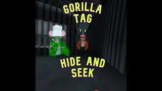 Gorilla Tag Hide And Seek!